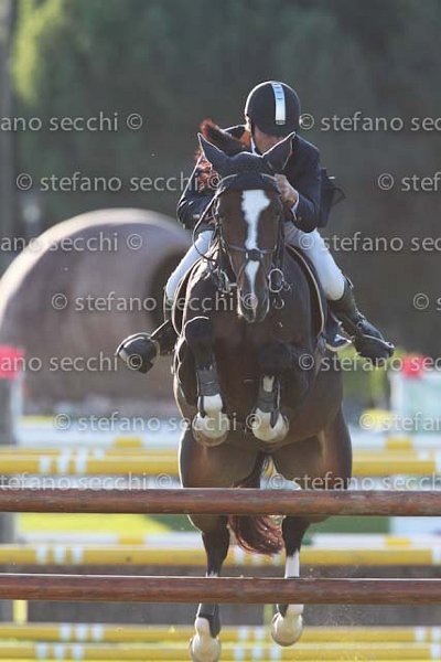 BRACCI_EHRNAN_GIO CAV 2011_(691) SS3_3028.jpg